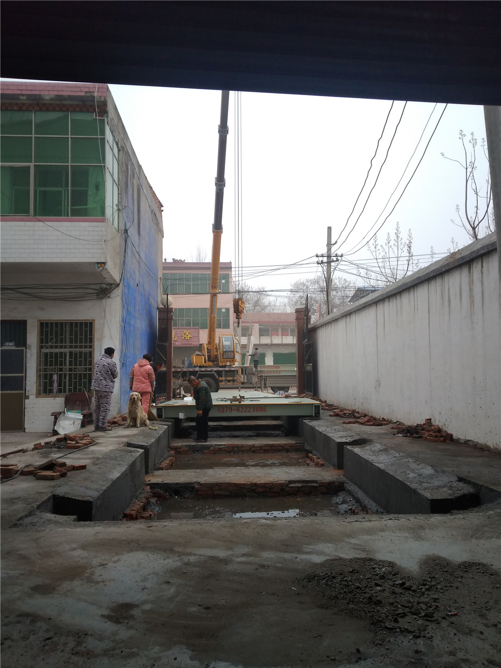 1547454061664023.jpg mmexport1547443194069.jpg