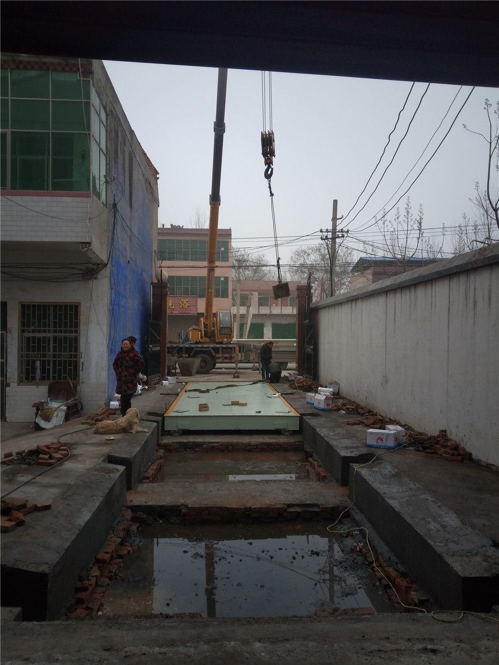 1547454078101846.jpg mmexport1547443197017.jpg