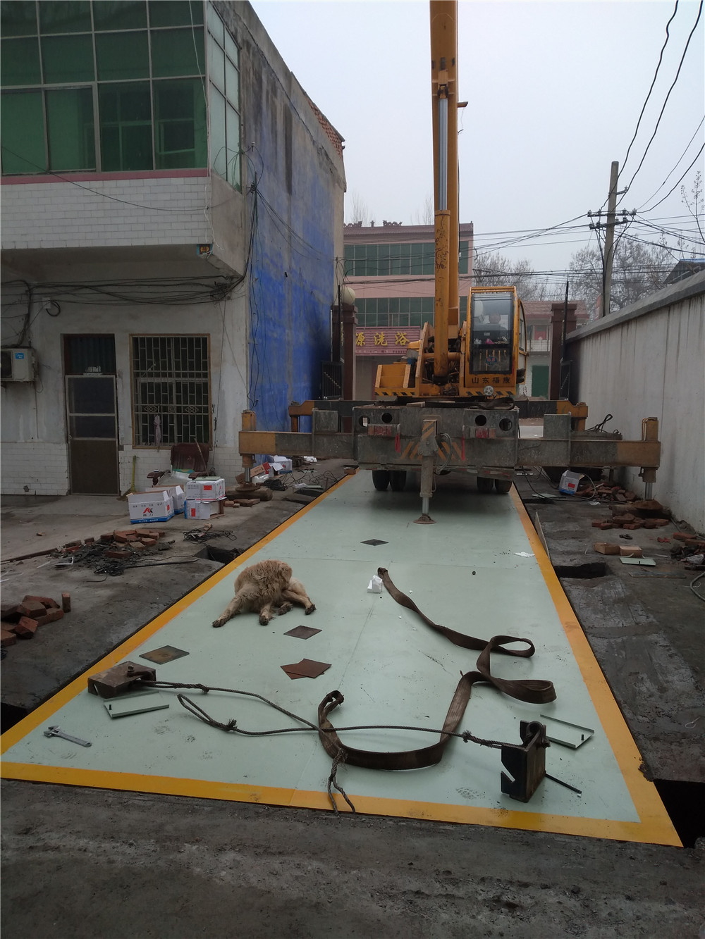 1547454144268233.jpg mmexport1547443225888.jpg