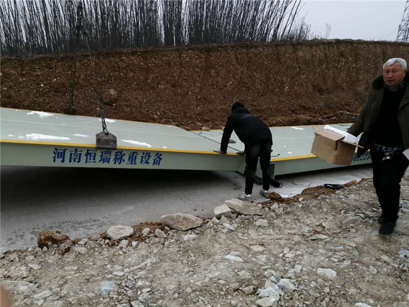 1550298829111263.jpg mmexport1548732316999.jpg