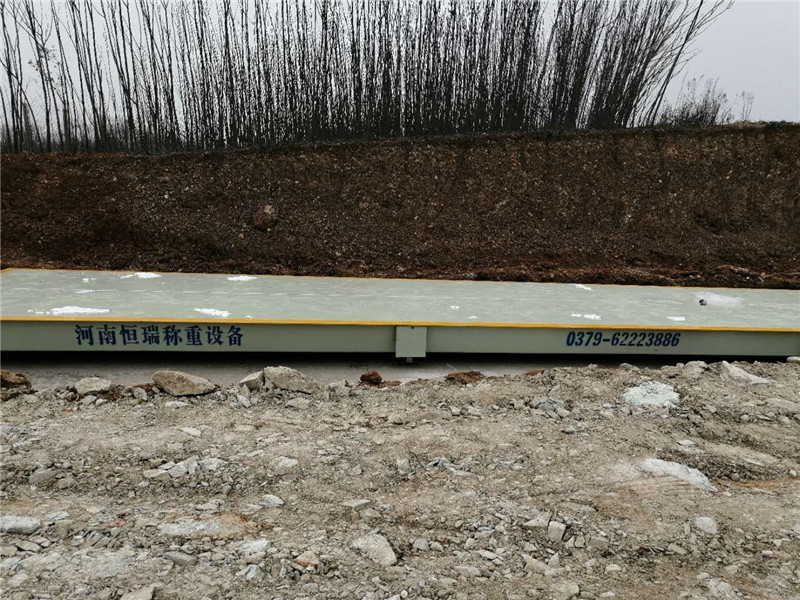 1550298847475201.jpg mmexport1548732337151.jpg