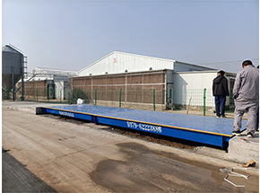 社旗縣和潤農牧有限公司50噸地磅